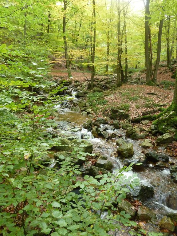 Gite Des Bois De Spa Kültér fotó